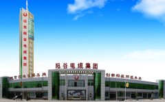 陽谷電纜屬于什么檔次